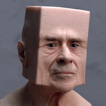 a statue of a man with a square head looks at the camera