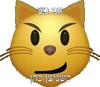 a smiley face with a cat 's face and hebrew writing on it