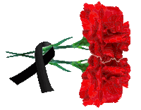 two red carnations with a black ribbon between them