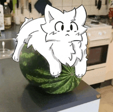 a cat is sitting on top of a watermelon on a kitchen counter .