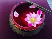 a pink lotus flower is floating in a red bowl of water