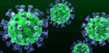 a group of green and purple viruses floating in the air on a black background .