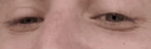 a close up of a person 's eyes with a very sparse eyebrow