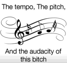 a drawing of music notes with the words the tempo the pitch and the audacity of this bitch below it