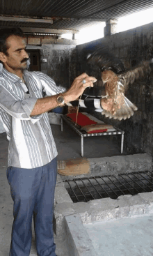 a man in a striped shirt is holding a bird in his hands