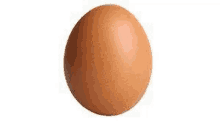 a single brown egg on a white background .