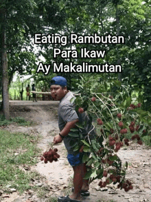 a man carrying a bunch of rambutan on his back with the caption eating rambutan para ikaw ay makalimutan