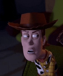 a toy story character wearing a cowboy hat and a plaid shirt