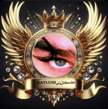 a picture of a woman 's eye is surrounded by gold wings