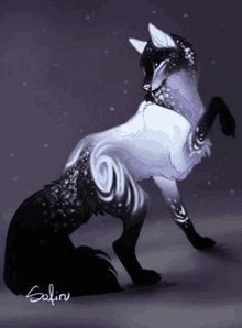 a black and white fox is standing on its hind legs on a purple background .