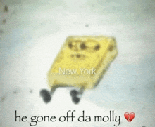 a picture of spongebob from new york with the words he gone off da molly below it