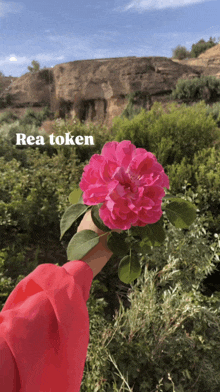 a person holding a pink flower with the word rea token written above it