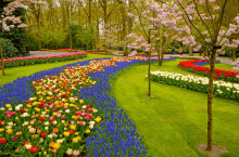 a garden filled with lots of different colored flowers and trees