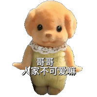 a stuffed animal has chinese writing on it