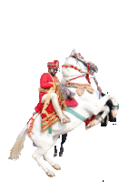 a man in a red and gold costume is riding a white horse