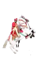 a man in a red and gold costume is riding a white horse