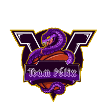 a logo for team felix with a snake and basketball