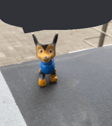 a small toy dog wearing a blue vest is standing on a black surface