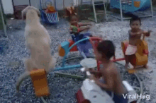 a group of children are playing on a merry go round with a dog standing on top of it .