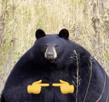 a black bear is standing in a field of tall grass .