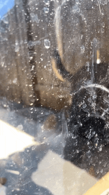 a close up of a glass with a lot of bubbles