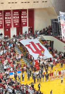 the indiana university basketball team celebrates their ncaa basketball championship