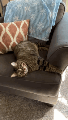 a cat is laying on a couch with a blue blanket and pillows