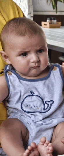 a baby with a whale embroidered on his outfit