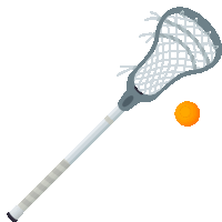 an illustration of a lacrosse stick with an orange ball