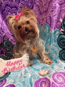 a small dog is sitting on a blanket with a happy birthday bone