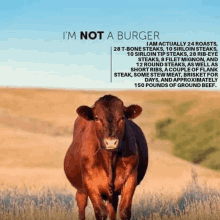 a cow is standing in a field with the words i 'm not a burger above it .