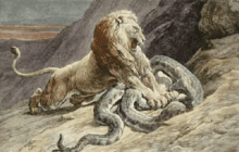 a painting of a lion fighting a snake on a rocky hillside