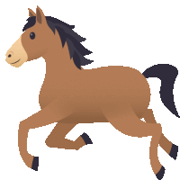 a brown horse with a black mane and tail is running on a white background