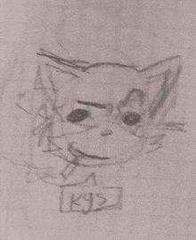 a drawing of a cat 's face with the name kyz written below it