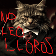 a cat wearing a suit and tie with the words " no leo lloros " written in red