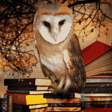 an owl sitting on top of a stack of books with a red book that says ' asimov ' on it