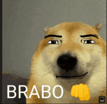 a picture of a dog with a fist and the word brabo below it