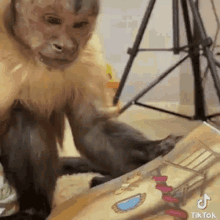 a monkey is sitting on a table playing with a toy .