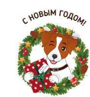 a jack russell terrier is holding a gift in front of a christmas wreath with russian writing