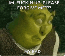 shrek says im fuckin up please forgive me