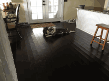 two dogs are laying on a dark wood floor in a kitchen