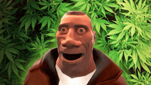 a man with a surprised look on his face stands in front of marijuana leaves