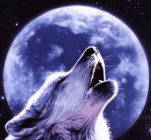 a wolf howling at the full moon in the night sky