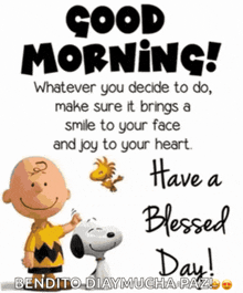 a picture of snoopy and charlie brown with a good morning message