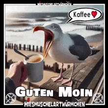 a person is holding a cup of coffee and a seagull is standing on a railing .