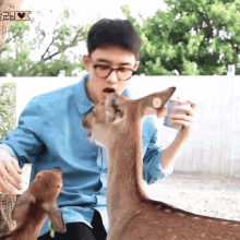 a man with glasses is feeding a deer with a sign that says ' i love you ' on it