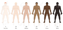 a row of naked men with different skin tones