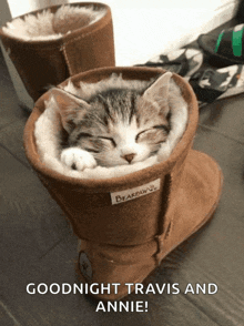 a kitten is sleeping in a brown boot that says bearpaws on it