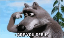 a cartoon raccoon is scratching his head and asking are you debil ?