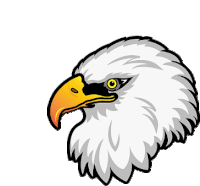 a bald eagle 's head with a yellow beak is shown on a white background